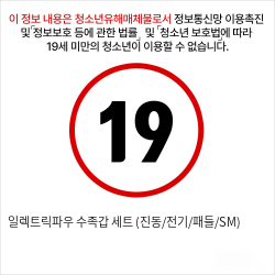 일렉트릭파우 수족갑 세트 (진동/전기/패들/SM)