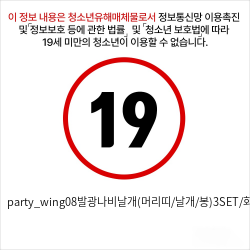 party_wing08발광나비날개(머리띠/날개/봉)3SET/화이트